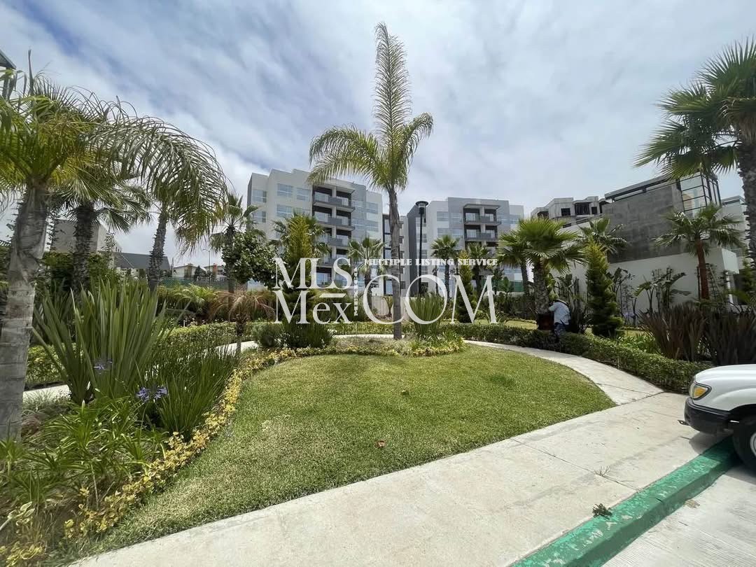 Amaralta Residencial | Modern Luxury Homes for Rent in Rosarito, Baja California