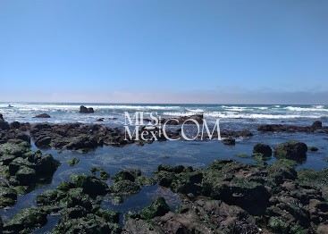Las Olas 1 | Oceanfront Condos for Rent in Rosarito, Baja California Las Olas 1 | Oceanfront Condos for Rent in Rosarito, Baja California