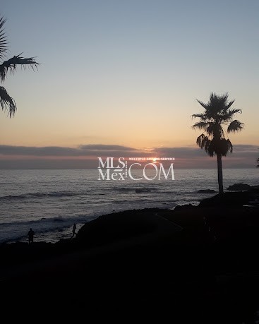 Las Palmas | Oceanfront Condos for Rent in Rosarito, Baja California Las Palmas | Oceanfront Condos for Rent in Rosarito, Baja California