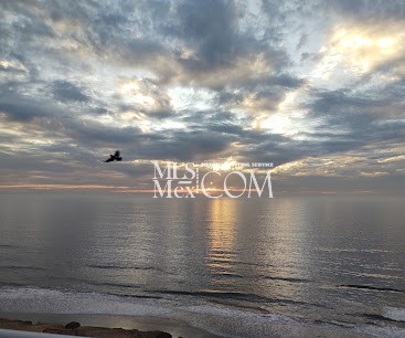 Palacio del Mar | Luxury Oceanfront Condos for Rent in Rosarito, Baja California