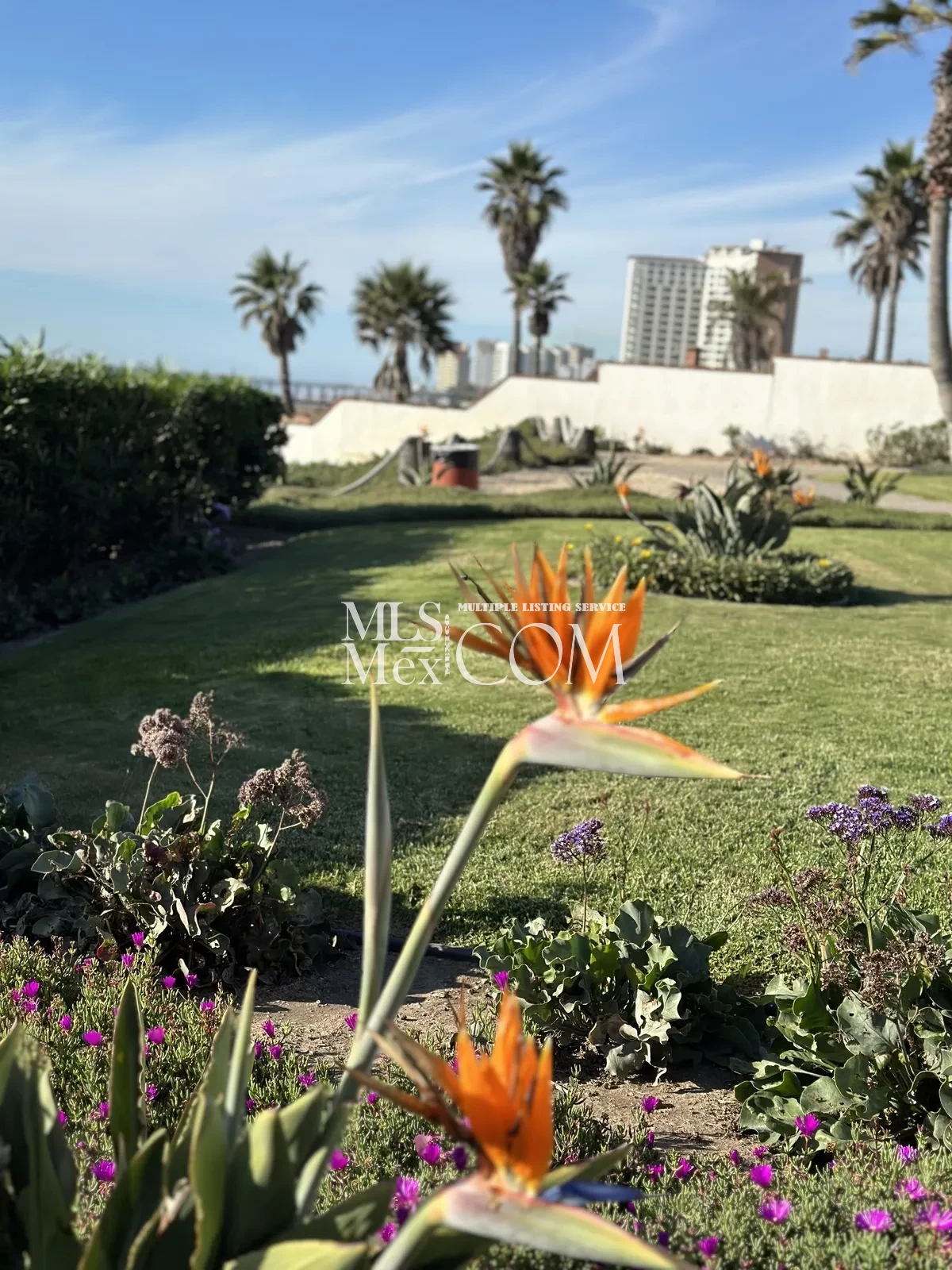 Oceanview Condo for Rent in La Paloma Rosarito | 2BR 🛏️2BA 🛁 Beach Access & Resort Amenities