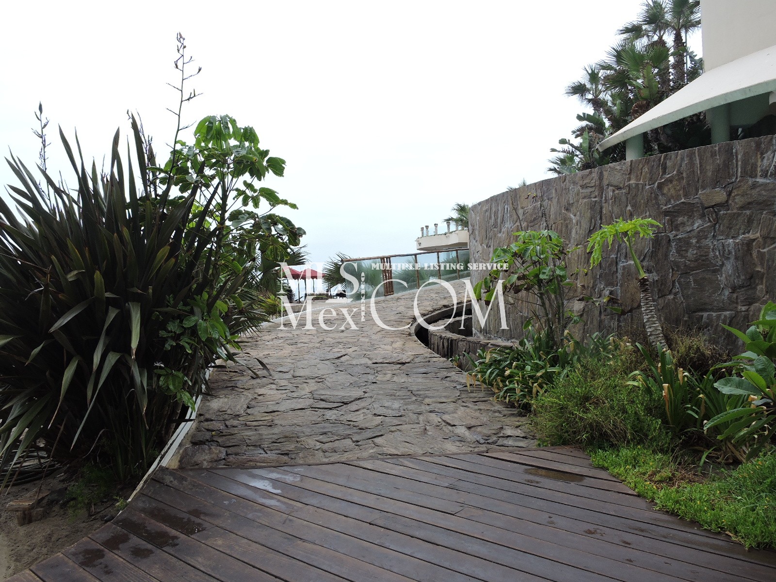 Las Olas Grand 505 Rosarito