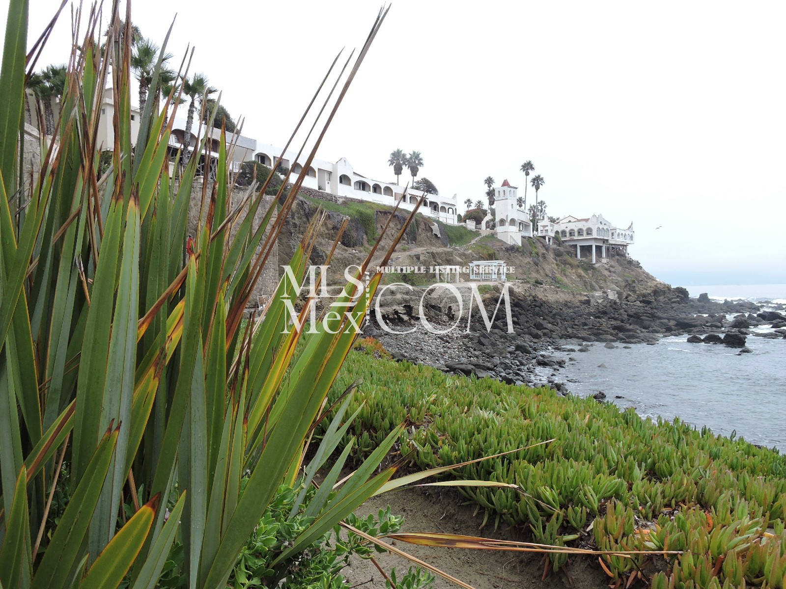 Las Olas Grand 505 Rosarito