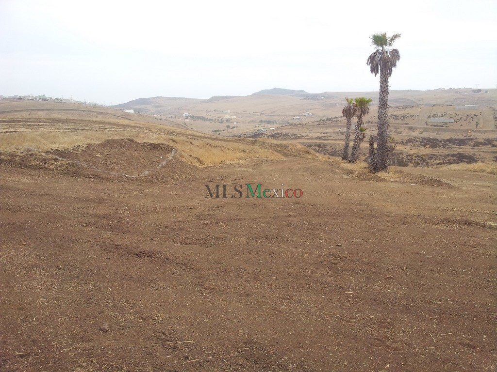 Riviera San Carlos Rosarito Real Estate