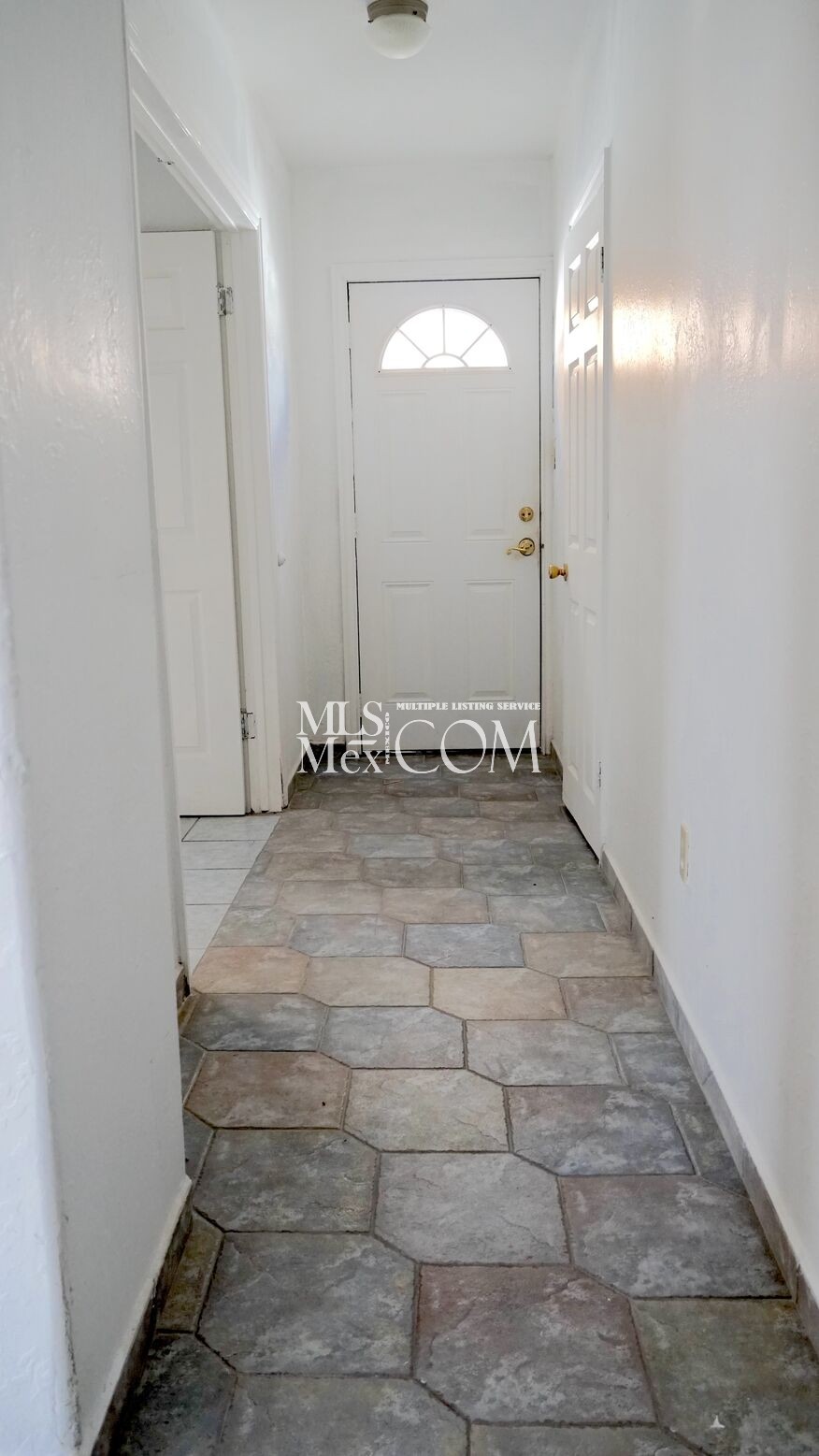 Multi-Unit Property for Rent in Terrazas del Pacífico – Ideal Investment or Multi-Family Living